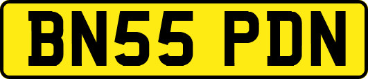 BN55PDN