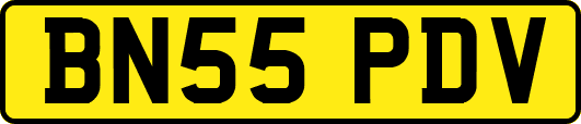 BN55PDV