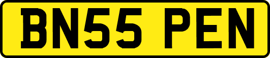 BN55PEN