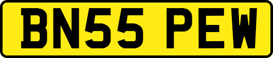 BN55PEW