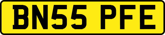 BN55PFE