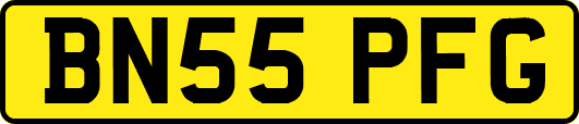 BN55PFG