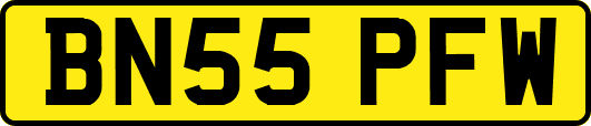 BN55PFW
