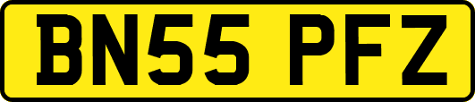 BN55PFZ