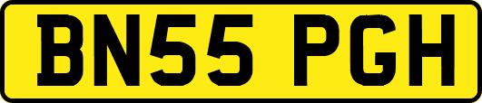 BN55PGH