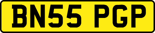 BN55PGP