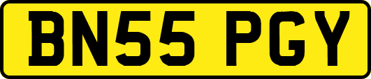 BN55PGY