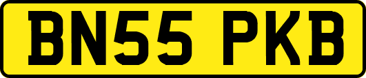 BN55PKB