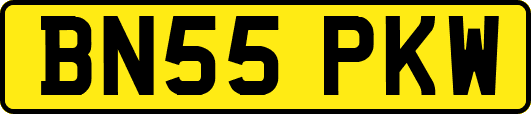 BN55PKW