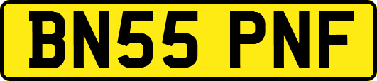 BN55PNF