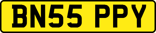 BN55PPY