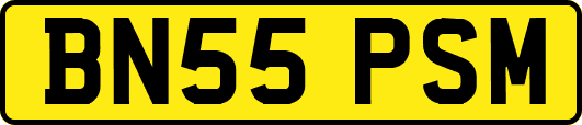 BN55PSM
