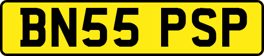 BN55PSP