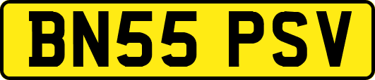 BN55PSV