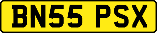 BN55PSX