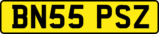 BN55PSZ