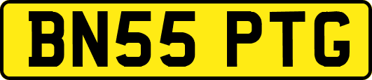 BN55PTG