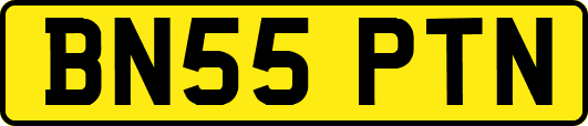 BN55PTN