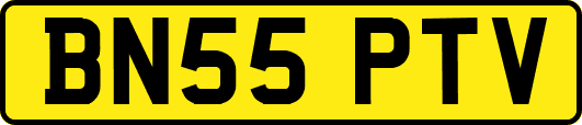 BN55PTV