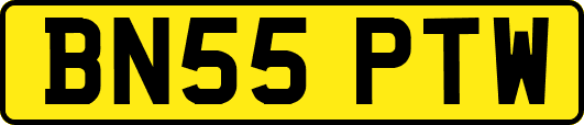 BN55PTW