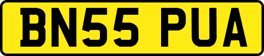BN55PUA