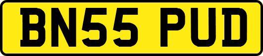 BN55PUD