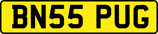 BN55PUG