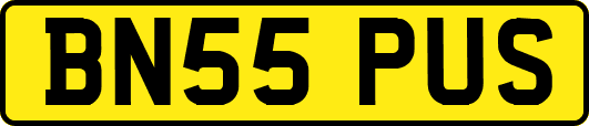 BN55PUS