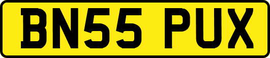 BN55PUX