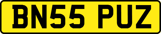 BN55PUZ
