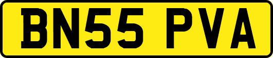 BN55PVA