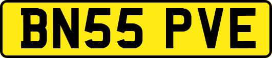 BN55PVE