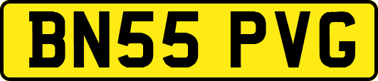 BN55PVG