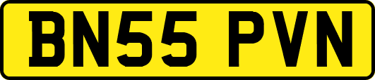 BN55PVN