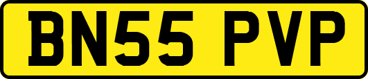 BN55PVP