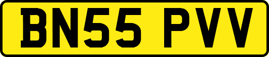 BN55PVV