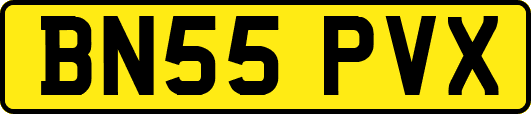 BN55PVX