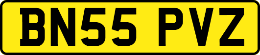 BN55PVZ