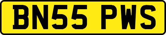 BN55PWS