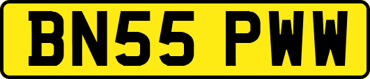 BN55PWW