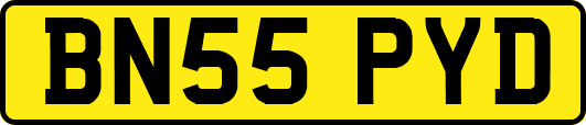 BN55PYD