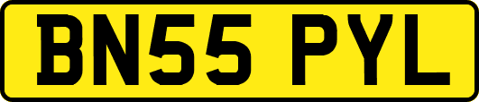 BN55PYL