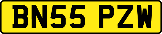 BN55PZW