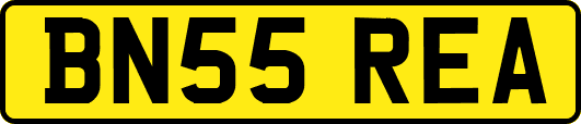 BN55REA