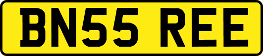 BN55REE