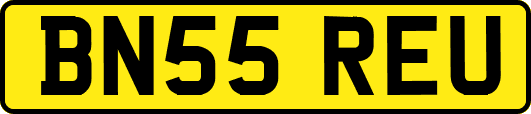 BN55REU