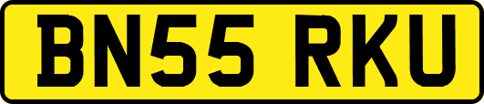 BN55RKU