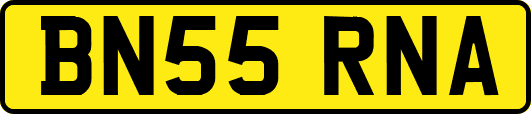 BN55RNA