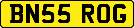 BN55ROG