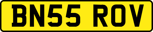 BN55ROV